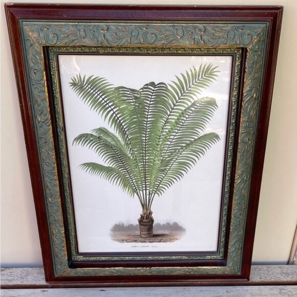 Framed Botanical Print Illustration 22'" x 17.5" - Picture 1 of 8